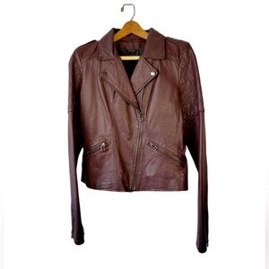 Maroon leather jacket, moto style